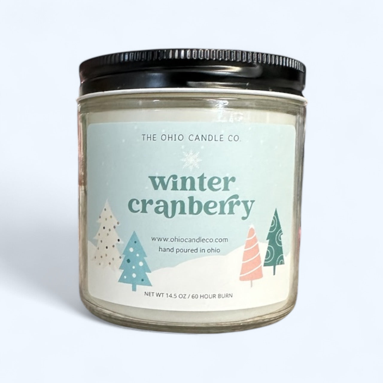 Winter Cranberry Candle